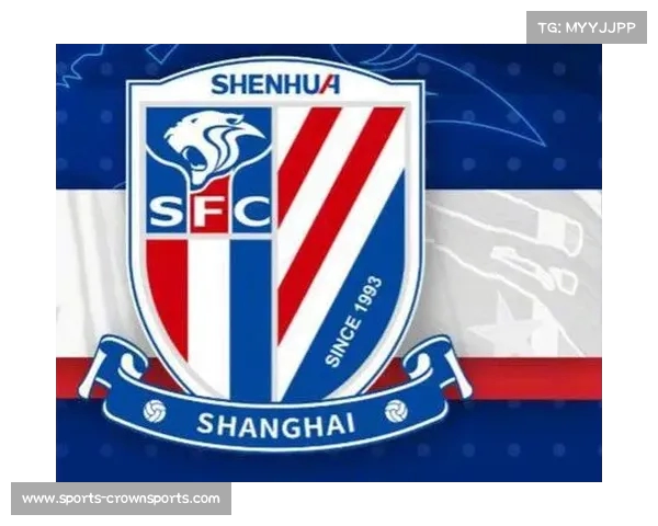 FIFA官方宣布上海申花自4月17日起暂停转会注册处罚期为三个月 FIFA官方宣布上海申花自4月17日起暂停转会注册处罚期为三个月
